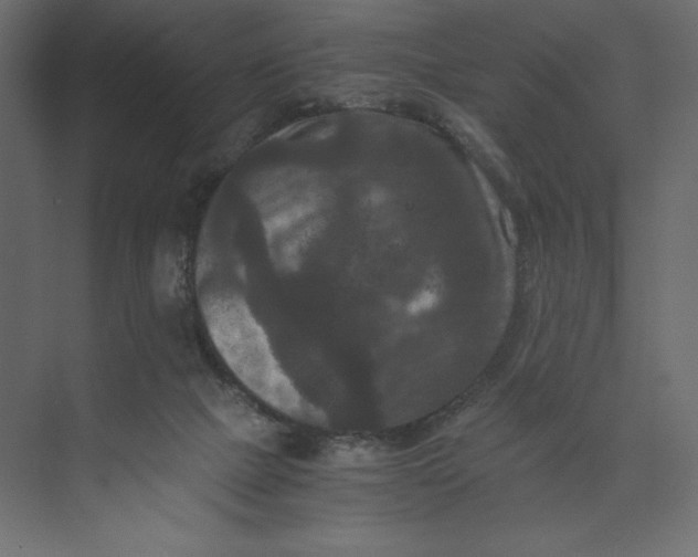 X0000073410073200608181106