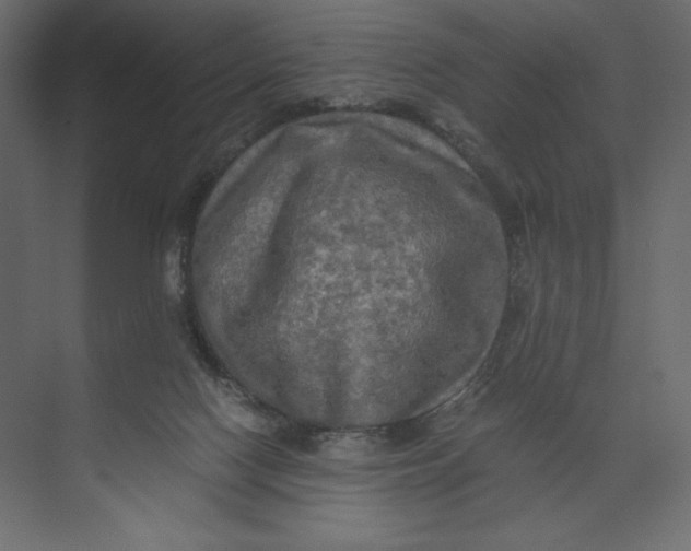 X0000073410074200608181106