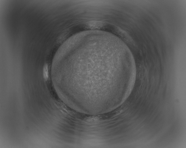 X0000073410075200608181106