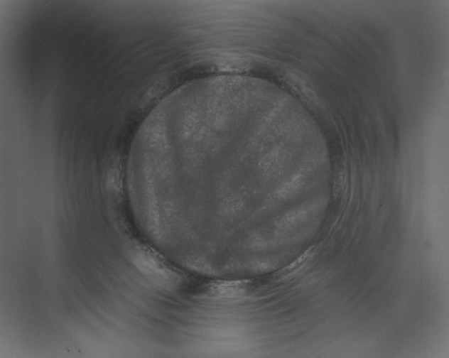 X0000073410078200608181106