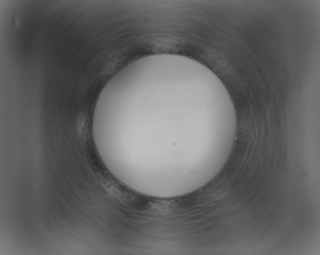 X0000073410079200608181106