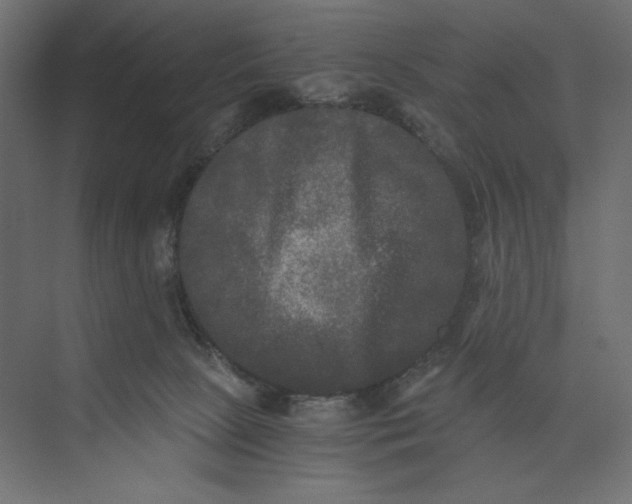 X0000073410081200608181106