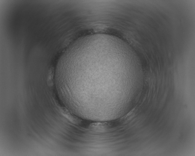 X0000073410082200608181106