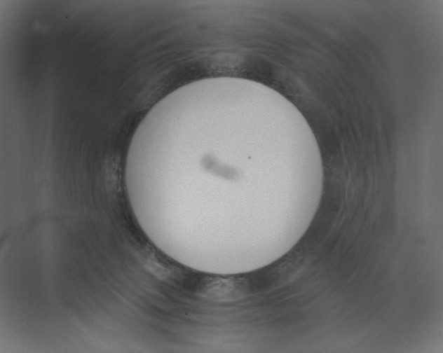 X0000073410083200608181106