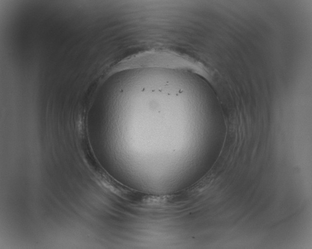 X0000073410084200608181106