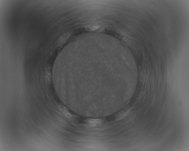 X0000073410085200608181106