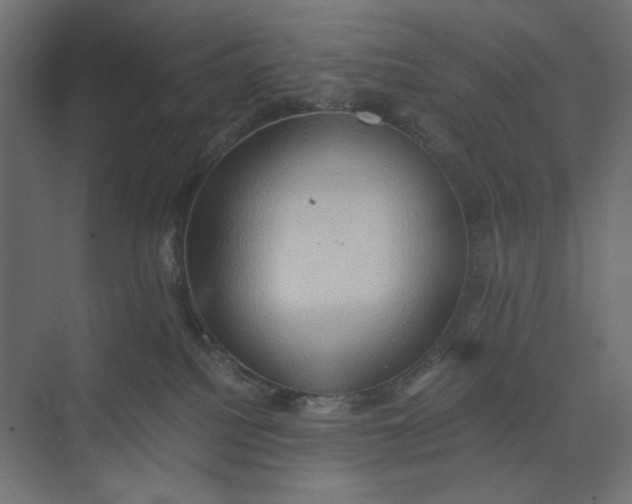 X0000073410088200608181106