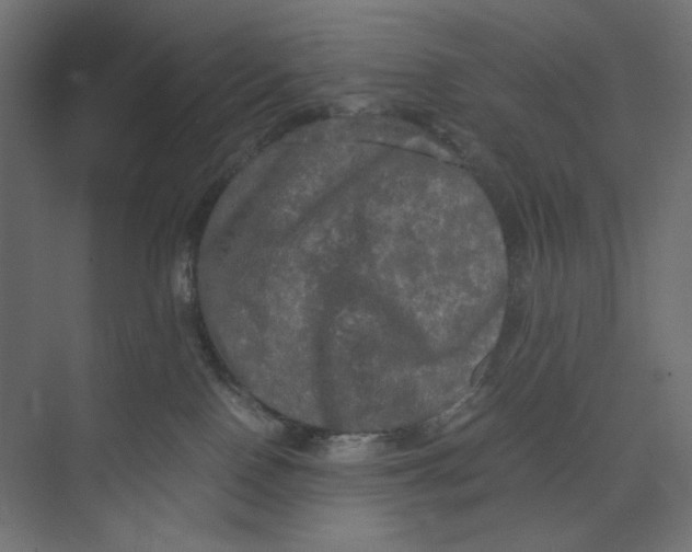 X0000073410090200608181106