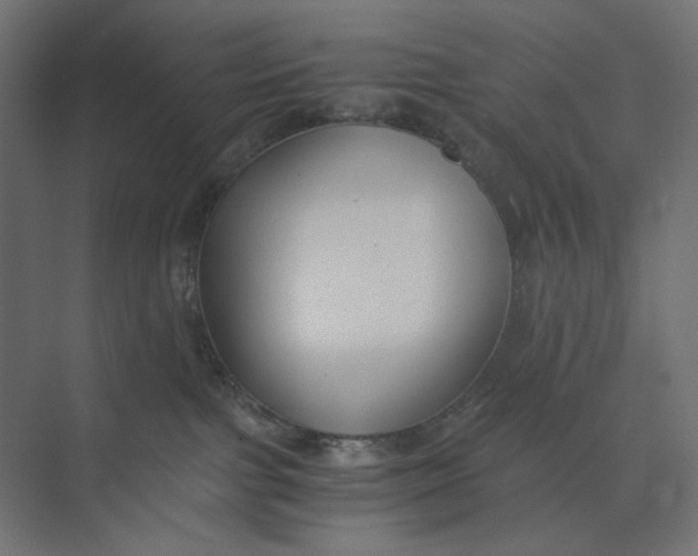 X0000073410091200608181106