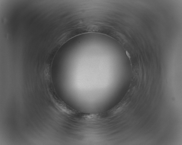 X0000073410092200608181106