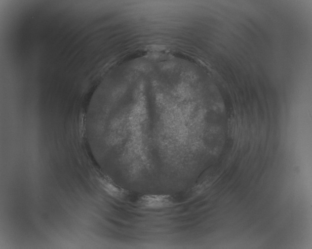 X0000073410093200608181106