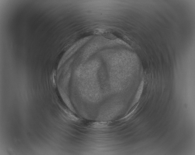 X0000073410094200608181106