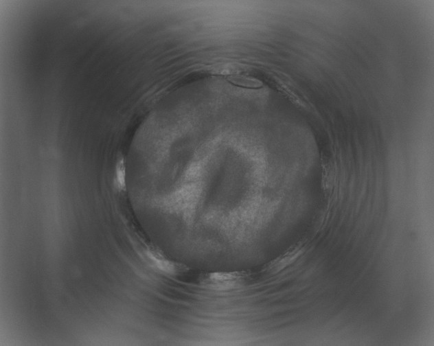 X0000073410095200608181106