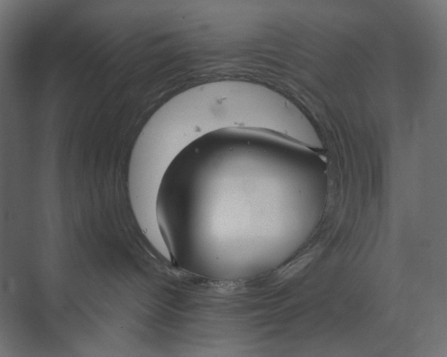 X0000073410096200608181106