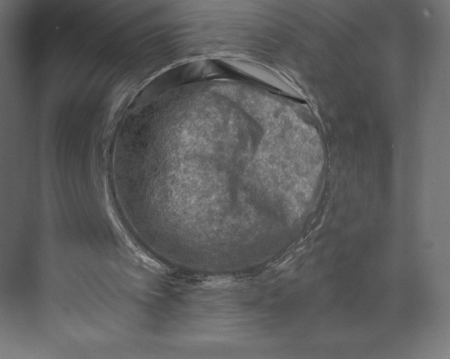 X0000073410097200608181105