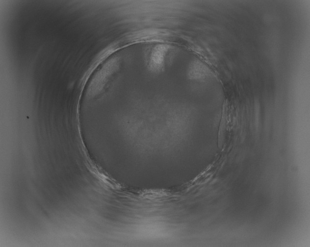 X0000073410099200608181105