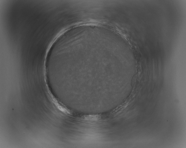 X0000073410102200608181105