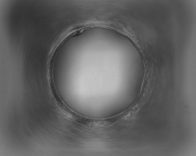 X0000073410103200608181105