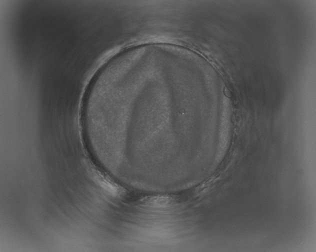 X0000073410104200608181105