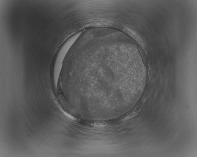 X0000073410105200608181105