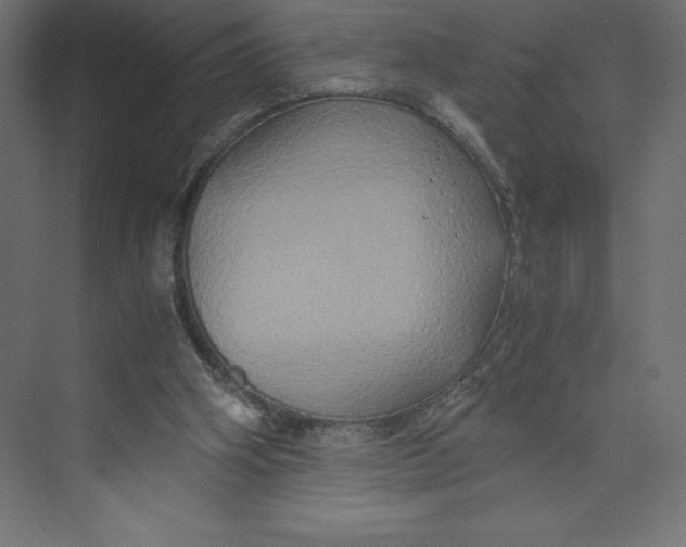 X0000073410106200608181105