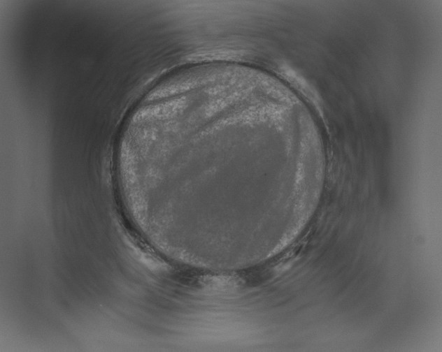 X0000073410107200608181105