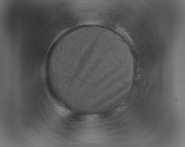 X0000073410108200608181105