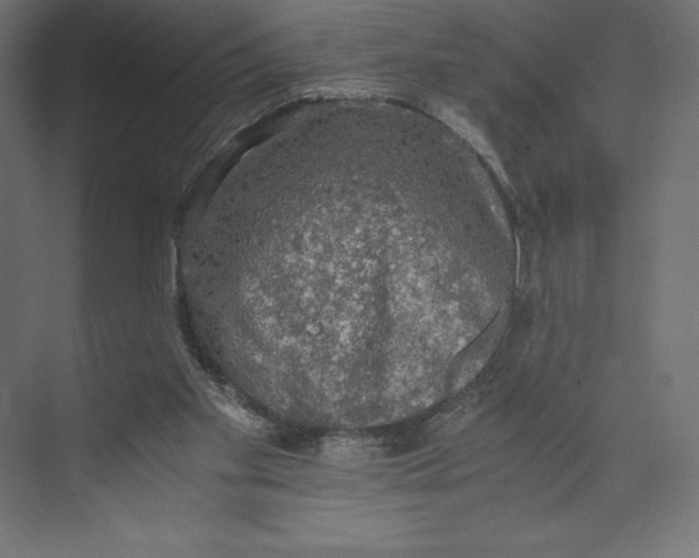 X0000073410109200608181105