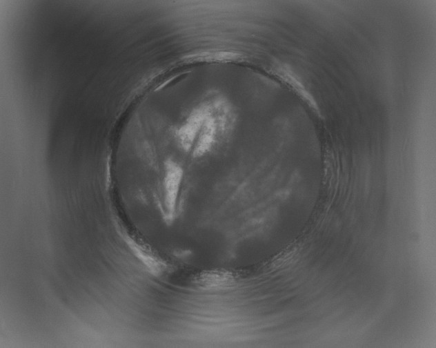 X0000073410110200608181105