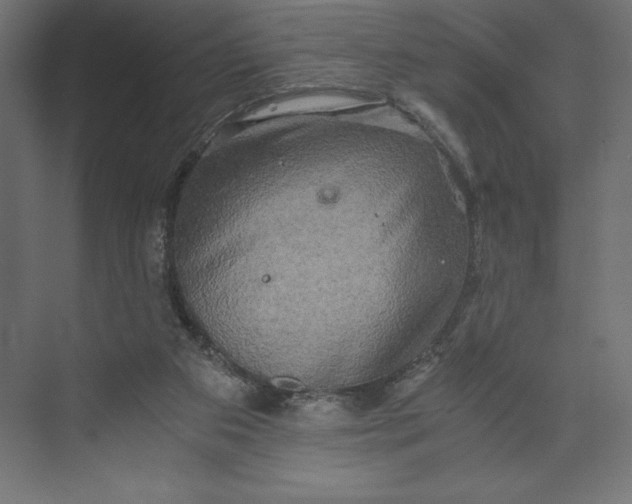 X0000073410113200608181105