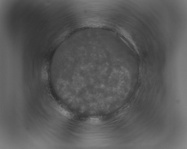 X0000073410114200608181105