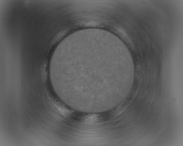 X0000073410116200608181105