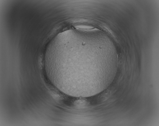 X0000073410119200608181105