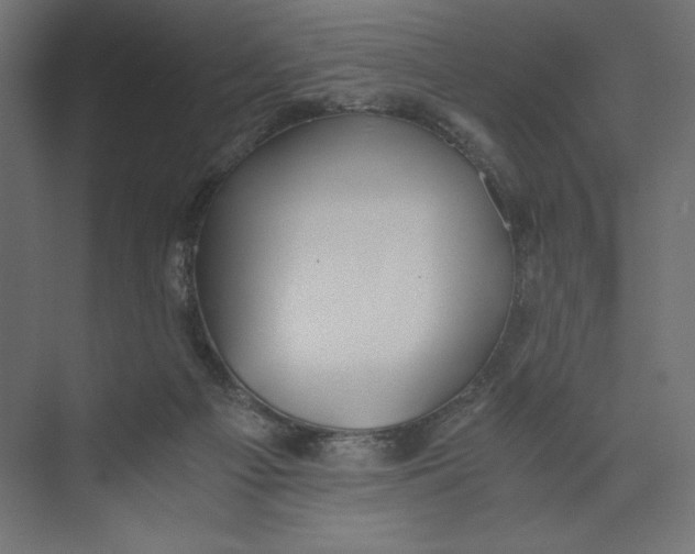 X0000073410121200608181105