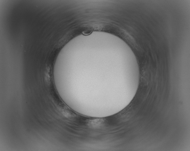 X0000073410122200608181105