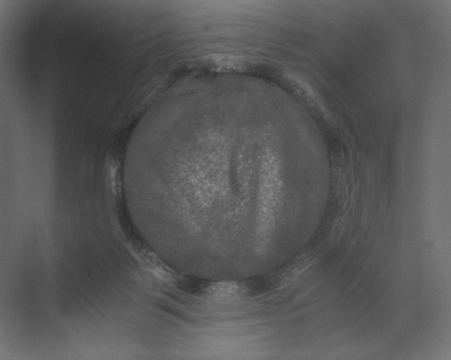 X0000073410123200608181105