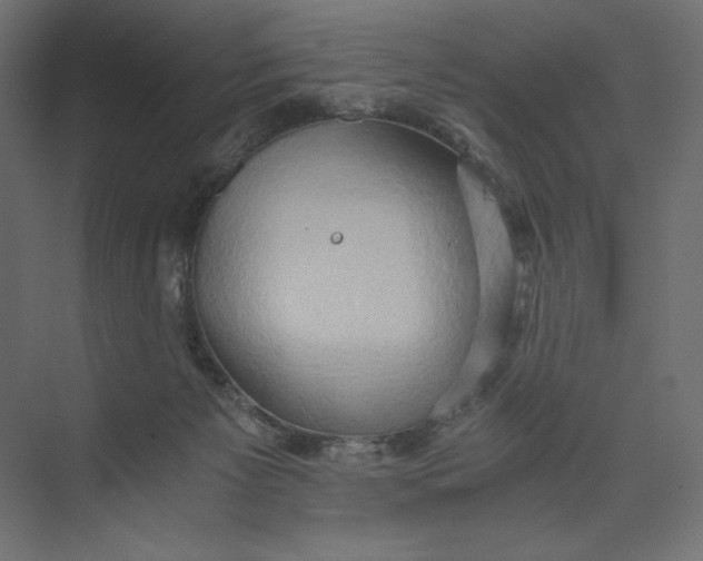 X0000073410125200608181105