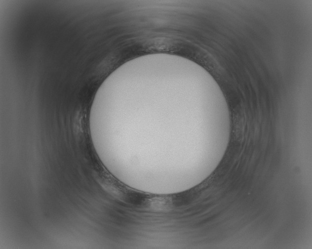 X0000073410126200608181105