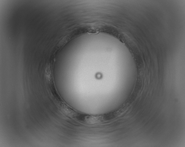 X0000073410129200608181105