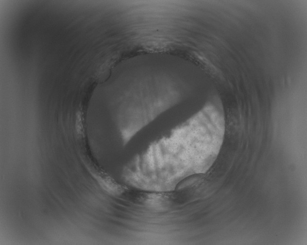 X0000073410130200608181105