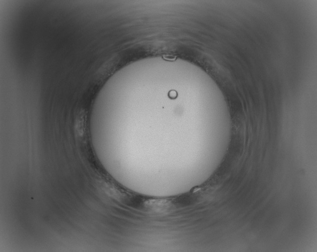 X0000073410133200608181105