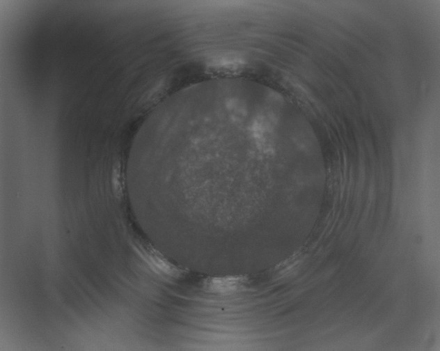 X0000073410134200608181105