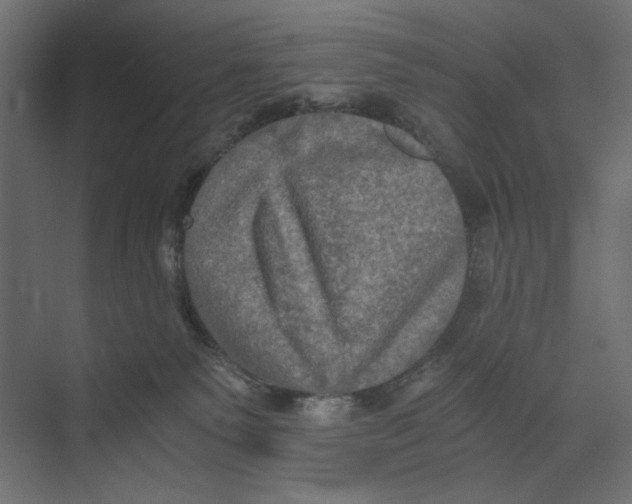 X0000073410135200608181105