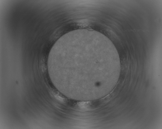 X0000073410136200608181105