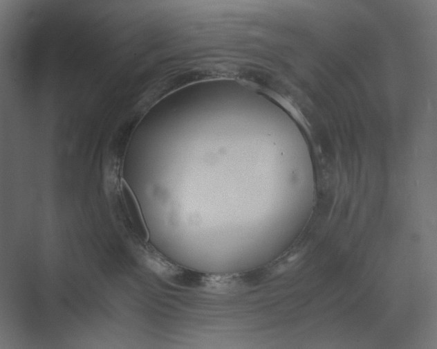 X0000073410141200608181105