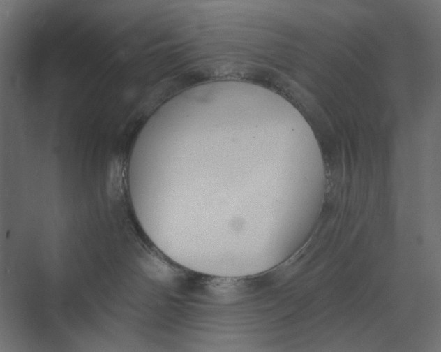 X0000073410142200608181105