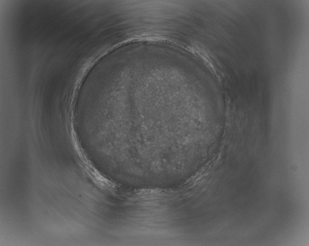 X0000073410145200608181104