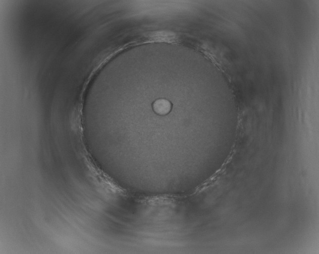 X0000073410146200608181104