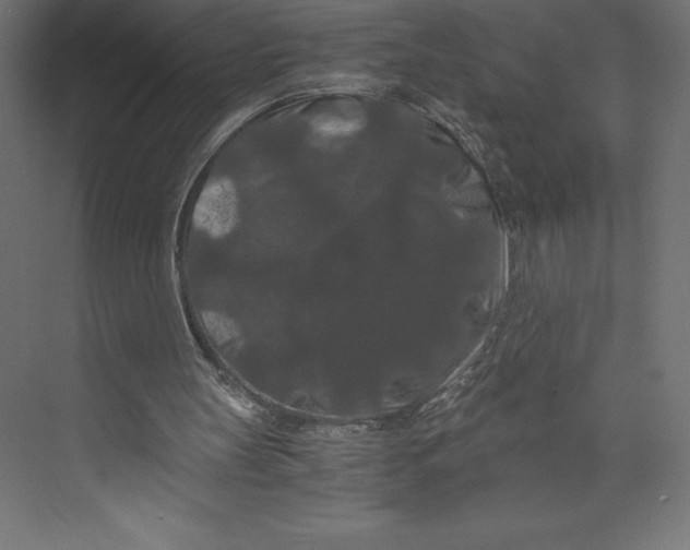 X0000073410147200608181104