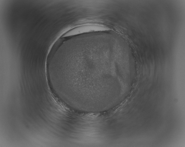 X0000073410148200608181104